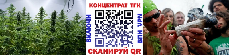 ТГК Wax  Барнаул 